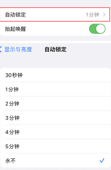 十堰苹果换屏维修分享无法调整iPhone自动锁屏的时间怎么办