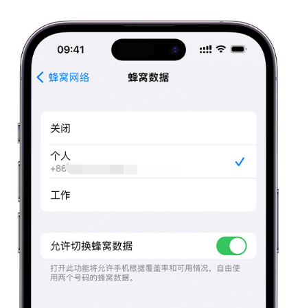 十堰苹果维修服务分享如何在iPhone上使用双卡 